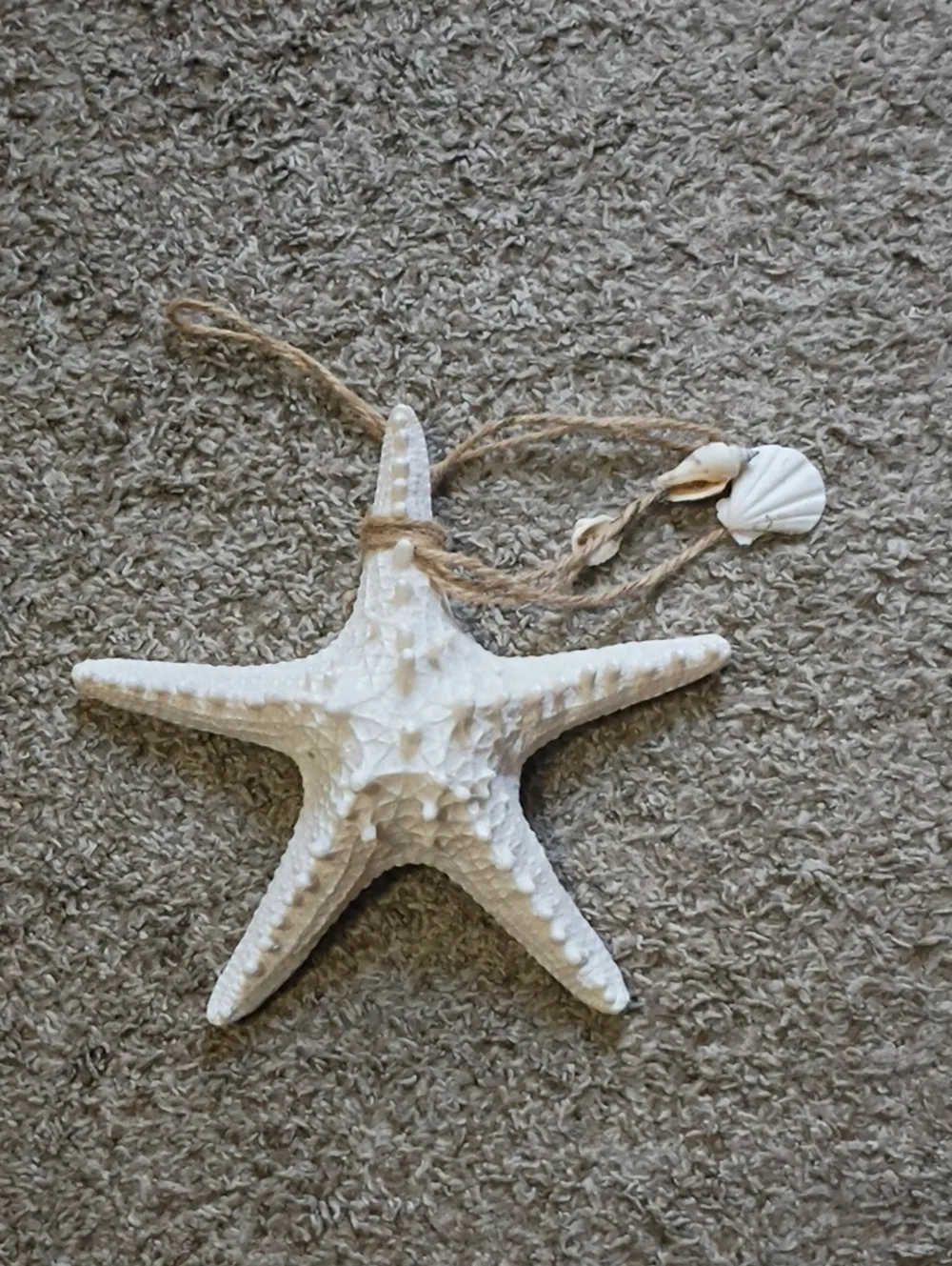 White Starfish Wall Decor with Natural Rope Accent